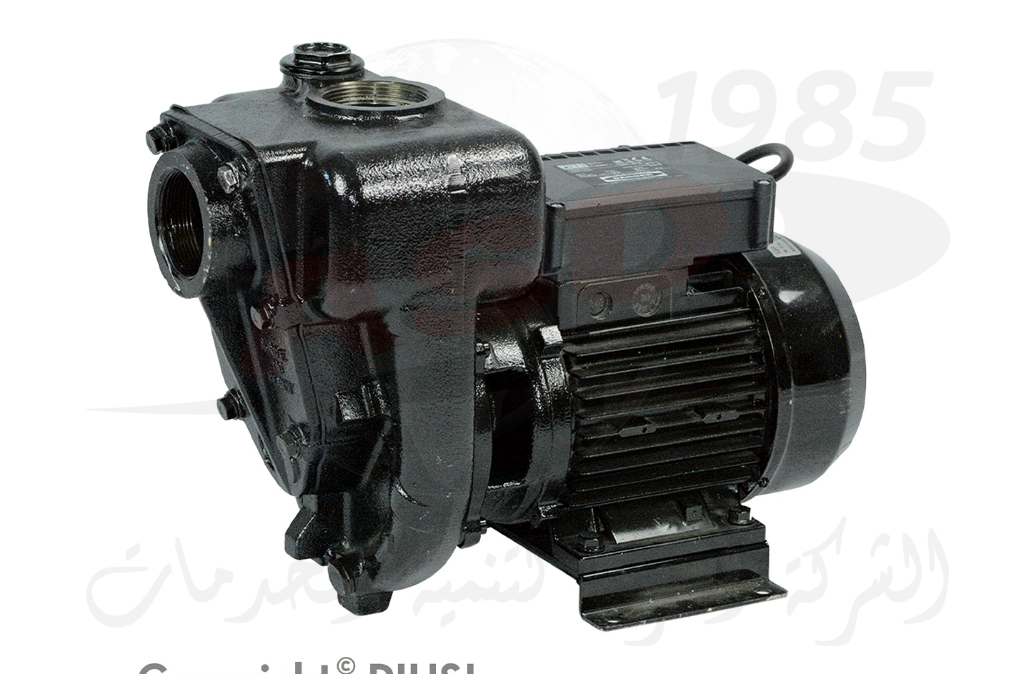 طلمبة سولار fuel pump تصريف 550 لتر في الدقيقة موديل E300